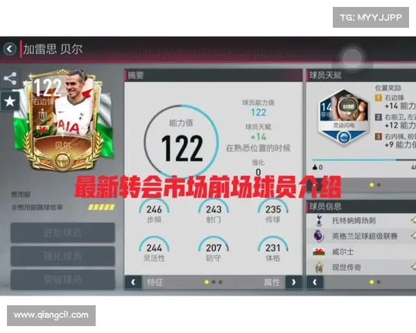 足球转会市场未来发展趋势与潜力分析报告 足球转会市场未来发展趋势与潜力分析报告